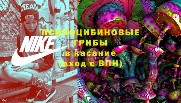 тгк Дмитровск