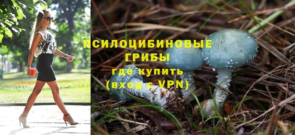 гидропоника Дмитриев