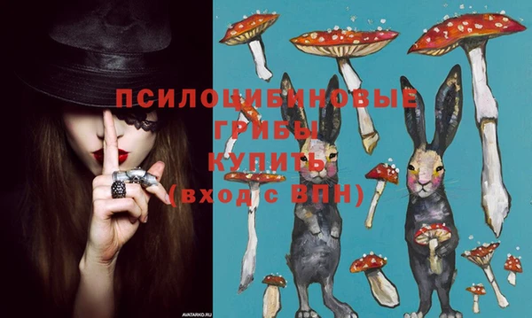 гидра Дмитров