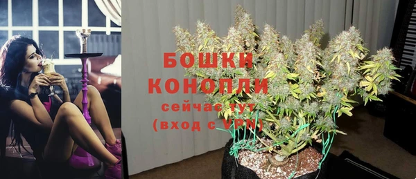 гидра Дмитров
