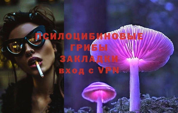 гидропоника Дмитриев