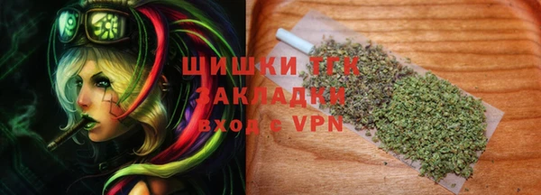 гидра Дмитров