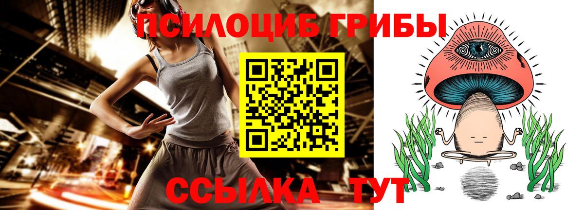 Псилоцибиновые грибы MAGIC MUSHROOMS  Псилоцибиновые грибы Cubensis  Звенигород  Вход с VPN 